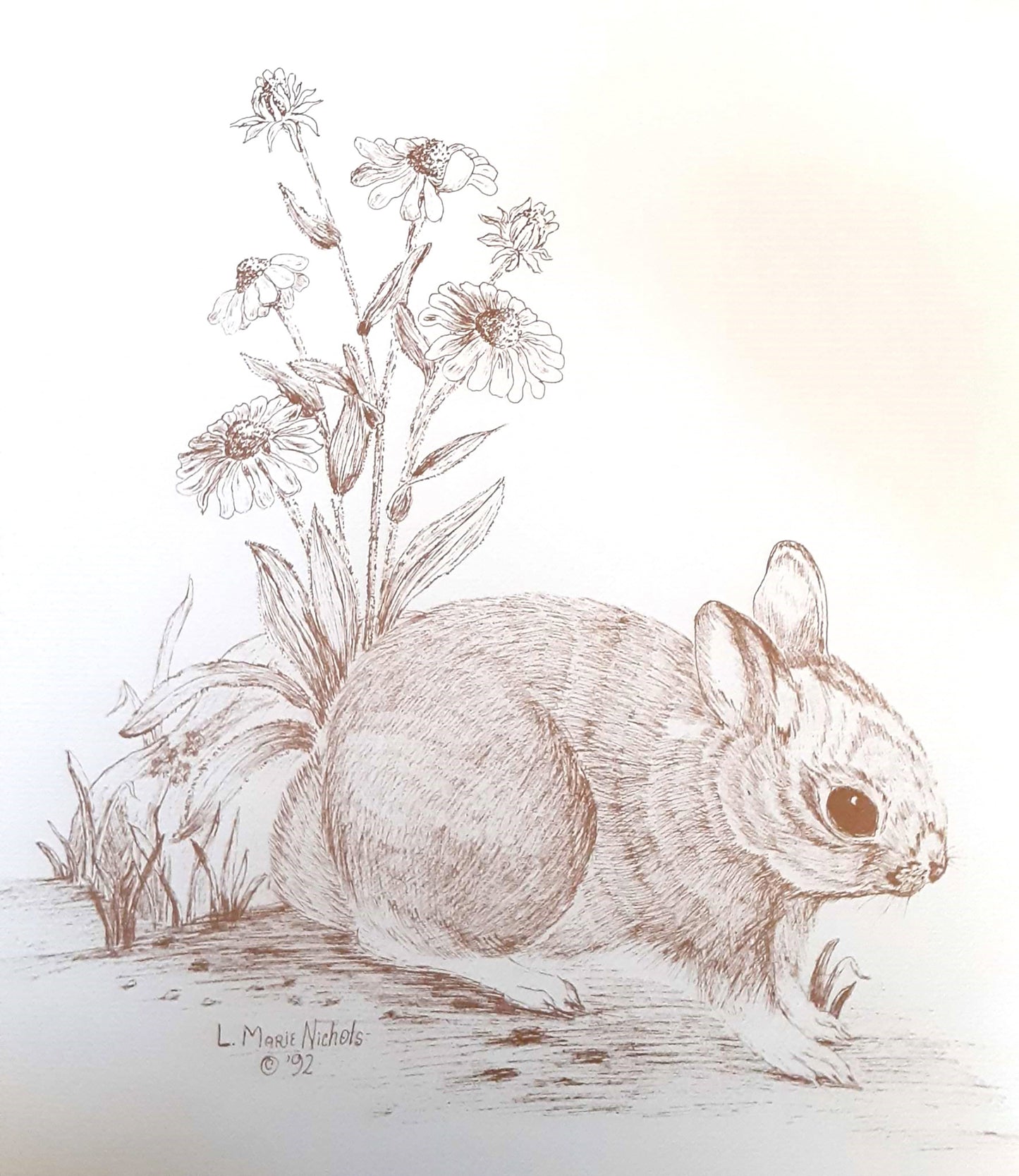 "Whimsical Harmony: Cotton Tail Bunny with Cone Flowers"