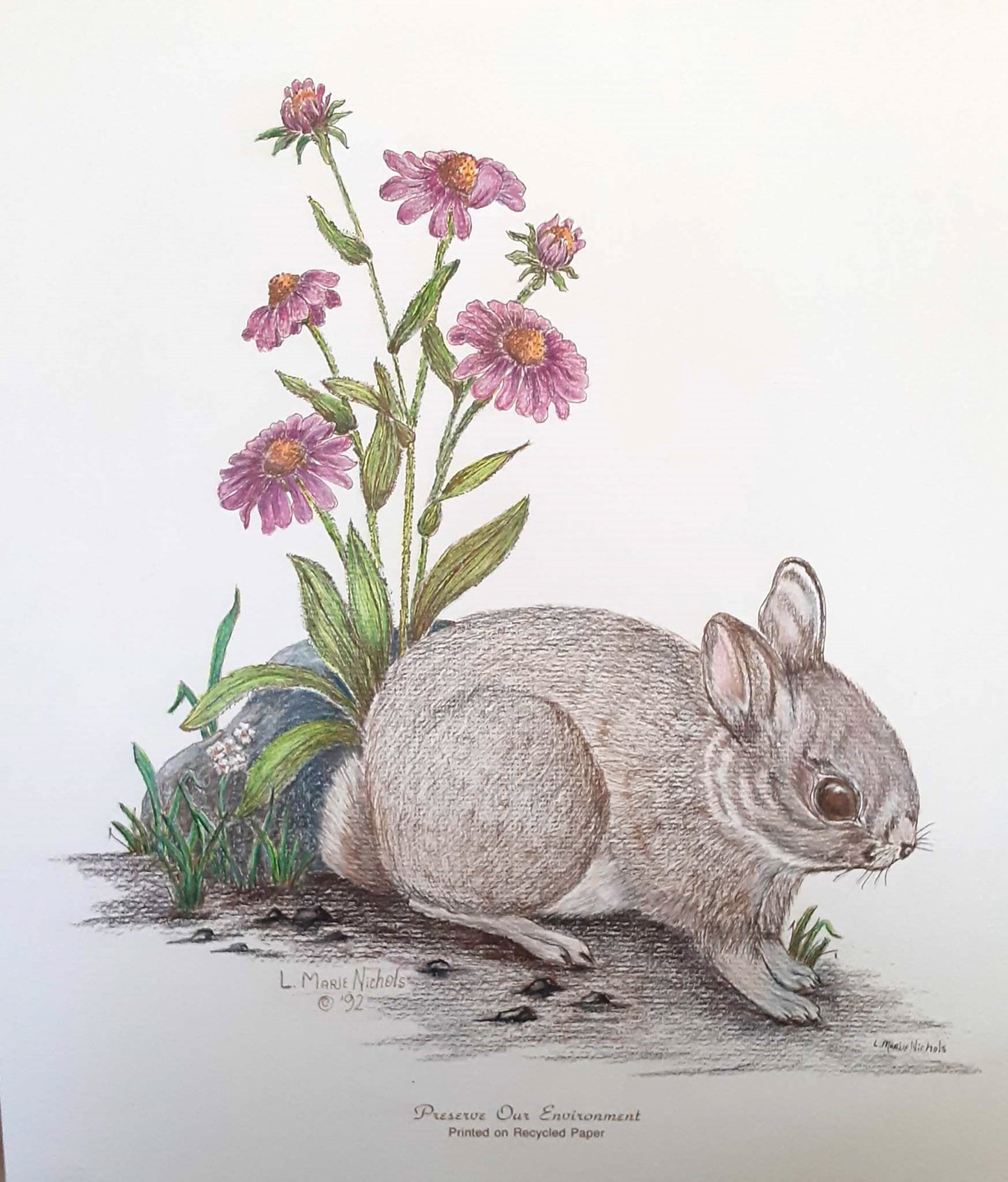 "Whimsical Harmony: Cotton Tail Bunny with Cone Flowers"