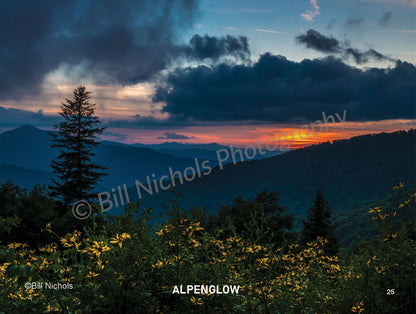 Into The Light: Bill Nichols Photography