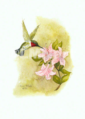 "Hummers & Flowers" - Set of 2 Prints