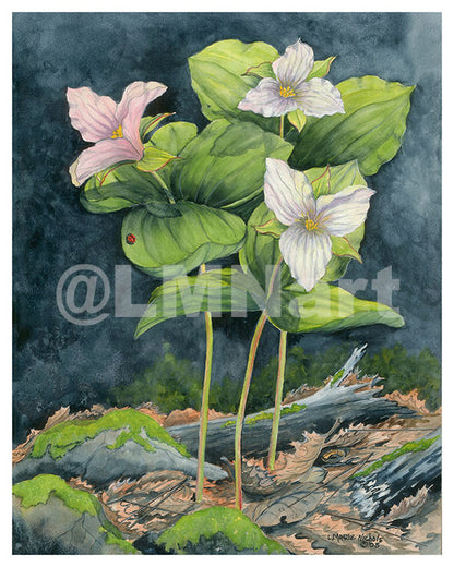 Notecard features three trilliums, all decked out tall and majestic with foliage that resembles a Tutu.