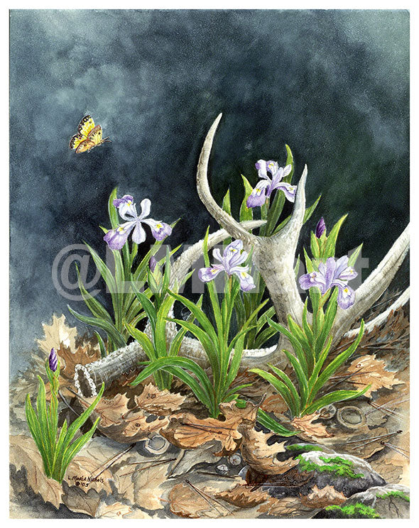 Notecard featuring purple Iris among deer antlers with a butterfly hovering over them.