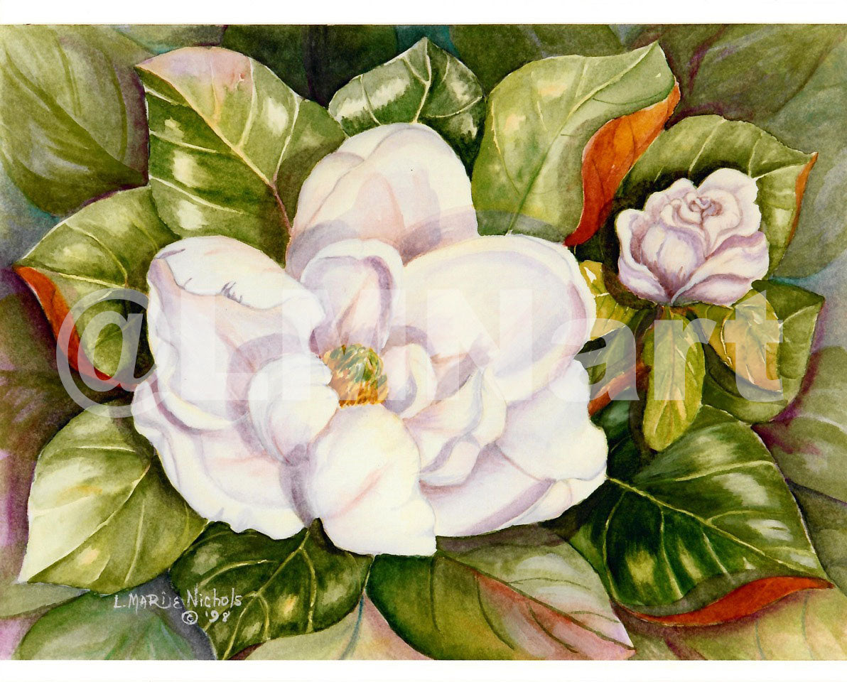 "Southern Charm"- Set of 2 Prints- (Magnolia & Dogwood) Photographic Print