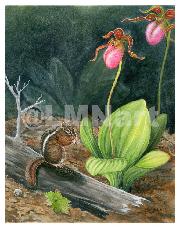 Notecard features 2 Pink lady’s slippers with a chipmunk sitting on a log eating a nut.