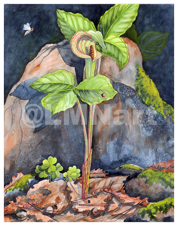 Notecard featuring a Jack In The Pulpit with a ladybug on one leaf and a bee flying by.