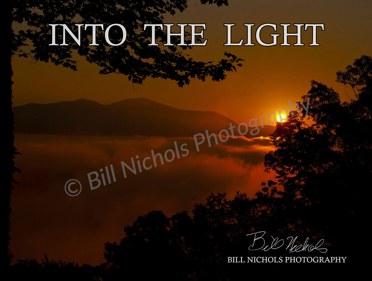 Into The Light: Bill Nichols Photography